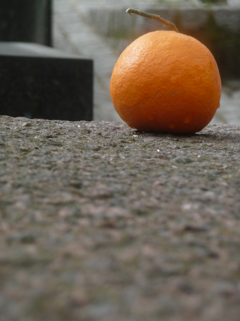 Qui a volé l'orange ?