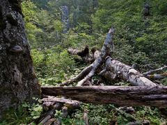 Qui non vige la sola regola del silenzio - Selva di Moricento - Lecce nei Marsi