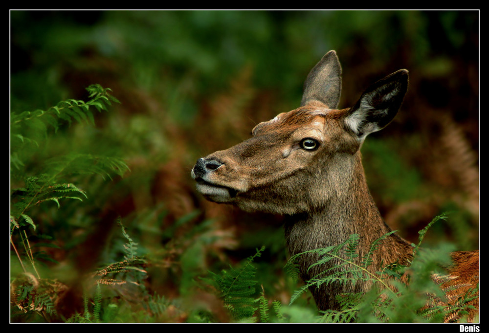 ...Qui observe l'autre..?