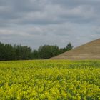 qui, parmi ce peloton, endossera le maillot vert au sommet ?