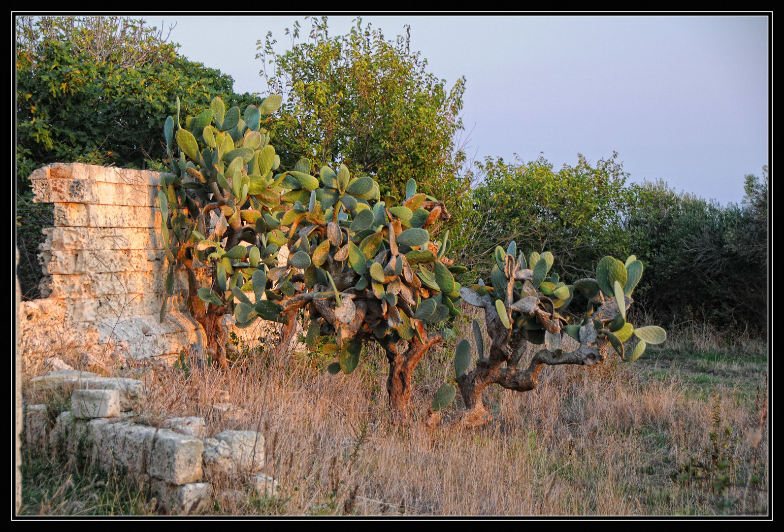 Qui Salento