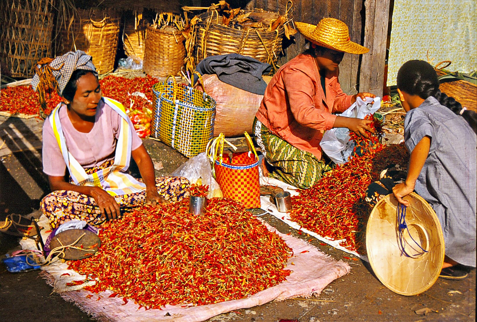 Qui veut de bons piments ?