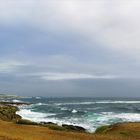 Quiberon côte sauvage .