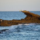 Quiberon_Plage_1