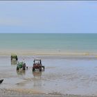 Quiberville sur Mer