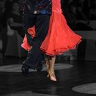 "Quickstep im Flug"