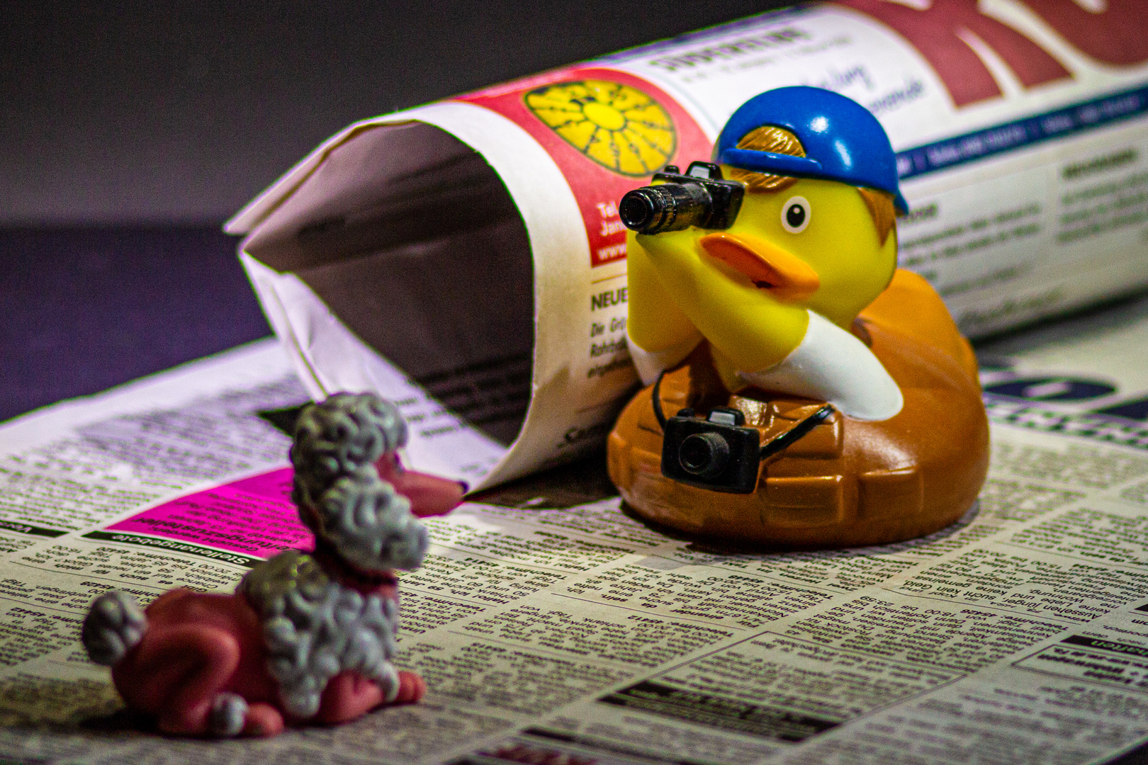 &amp;quot;Quicky&amp;quot;. die schnelle Zeitungs-Ente. Foto &amp; Bild | stillleben, spass ...