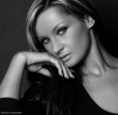 International * Portfolio von Wilhelm Harlander