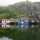 Quidi Vidi