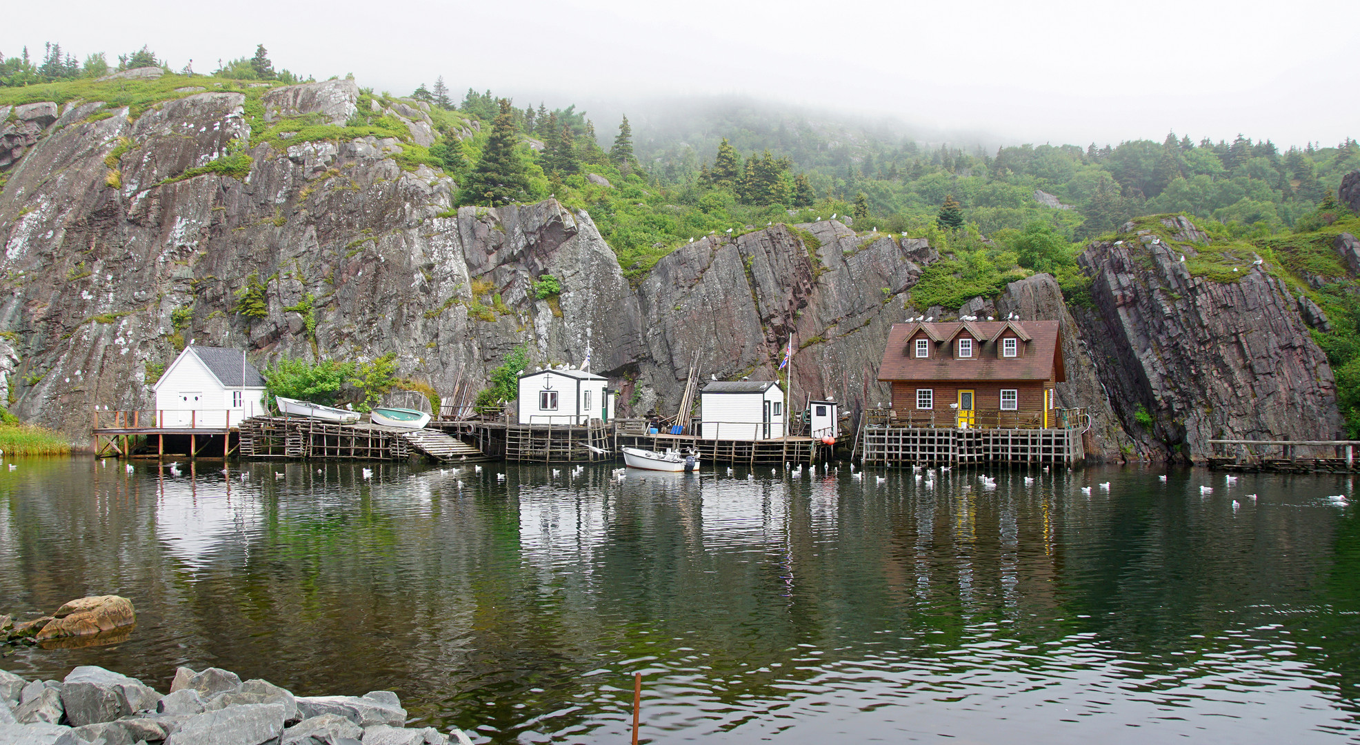 Quidi Vidi