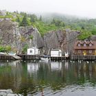 Quidi Vidi