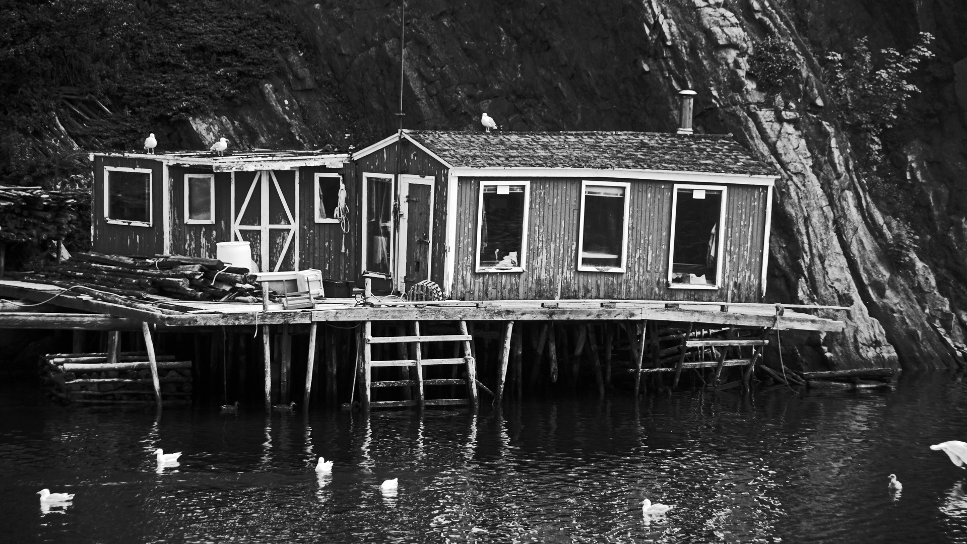 Quidi Vidi