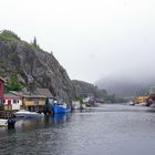 Quidi Vidi