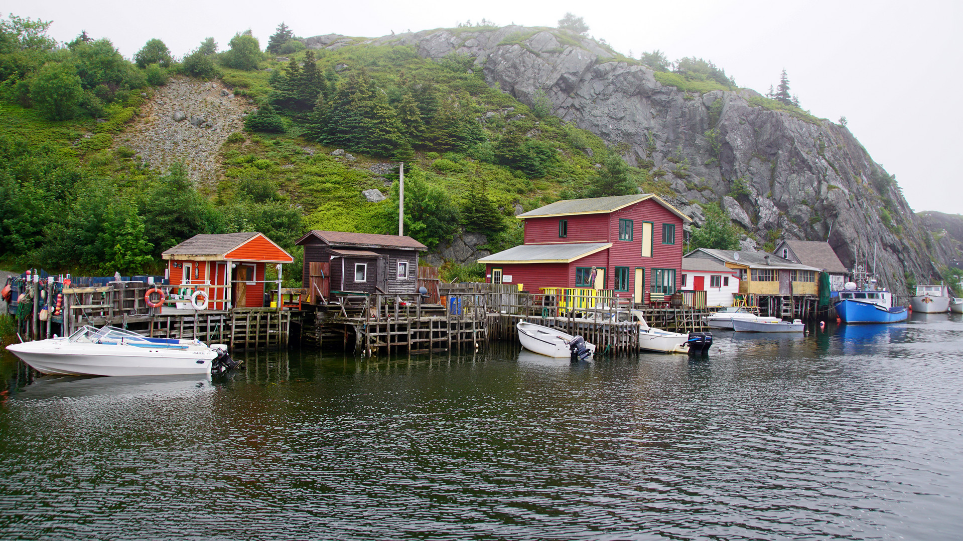 Quidi Vidi