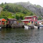 Quidi Vidi