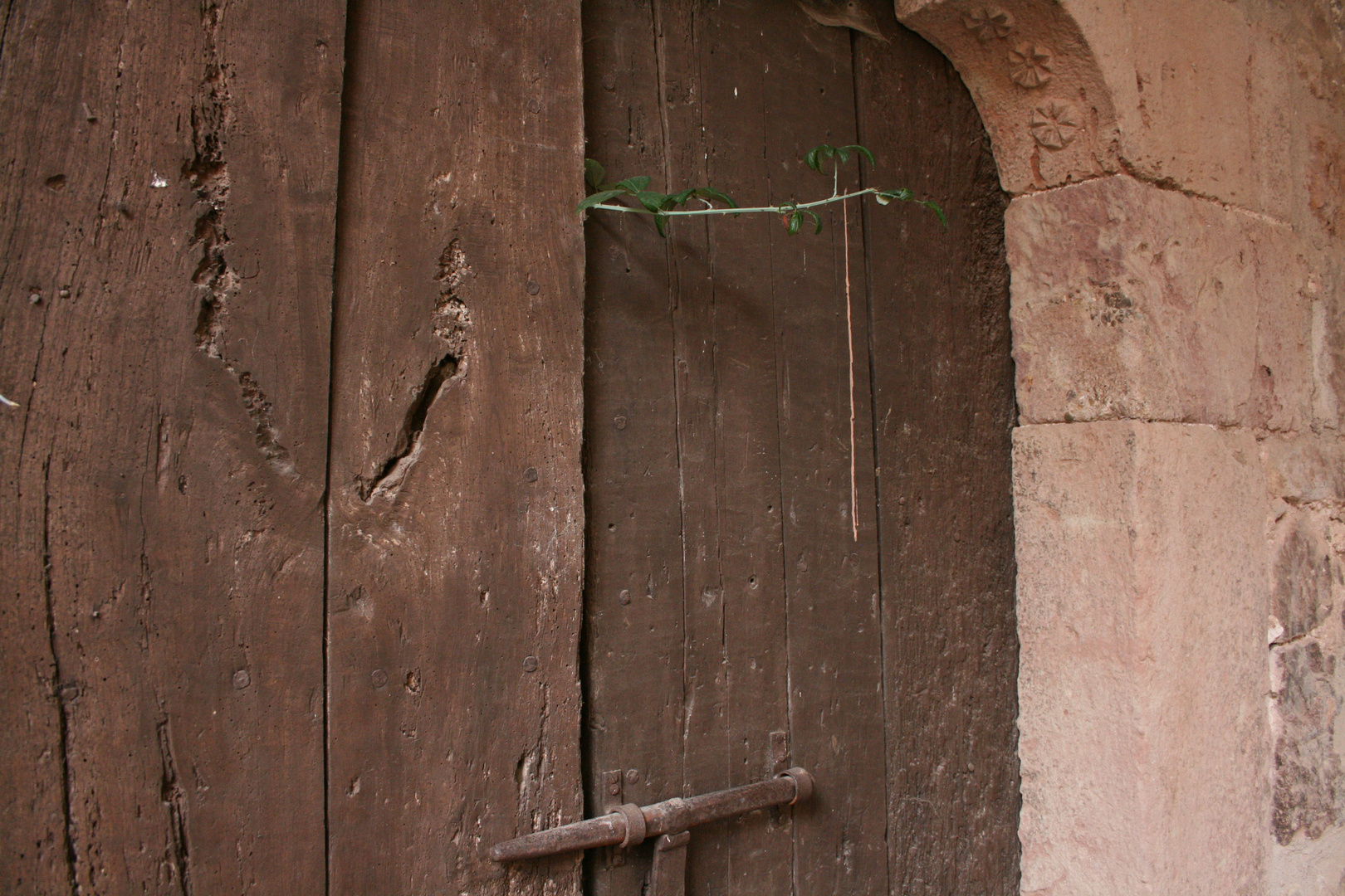 ¿Quien le pone puertas al campo?