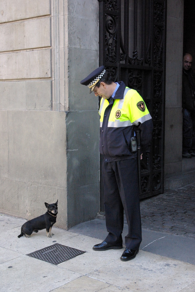 QUIEN VIGILA A QUIEN