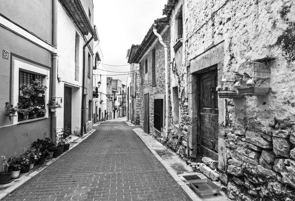 Quién vive ahi II (El  vecindario) - Who lives there II (The neighborhood)