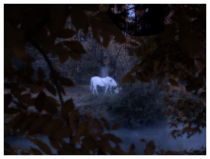 Quiesels Freunde (1): Das Einhorn