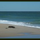 Quiet Beach