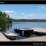 Quiet Boats