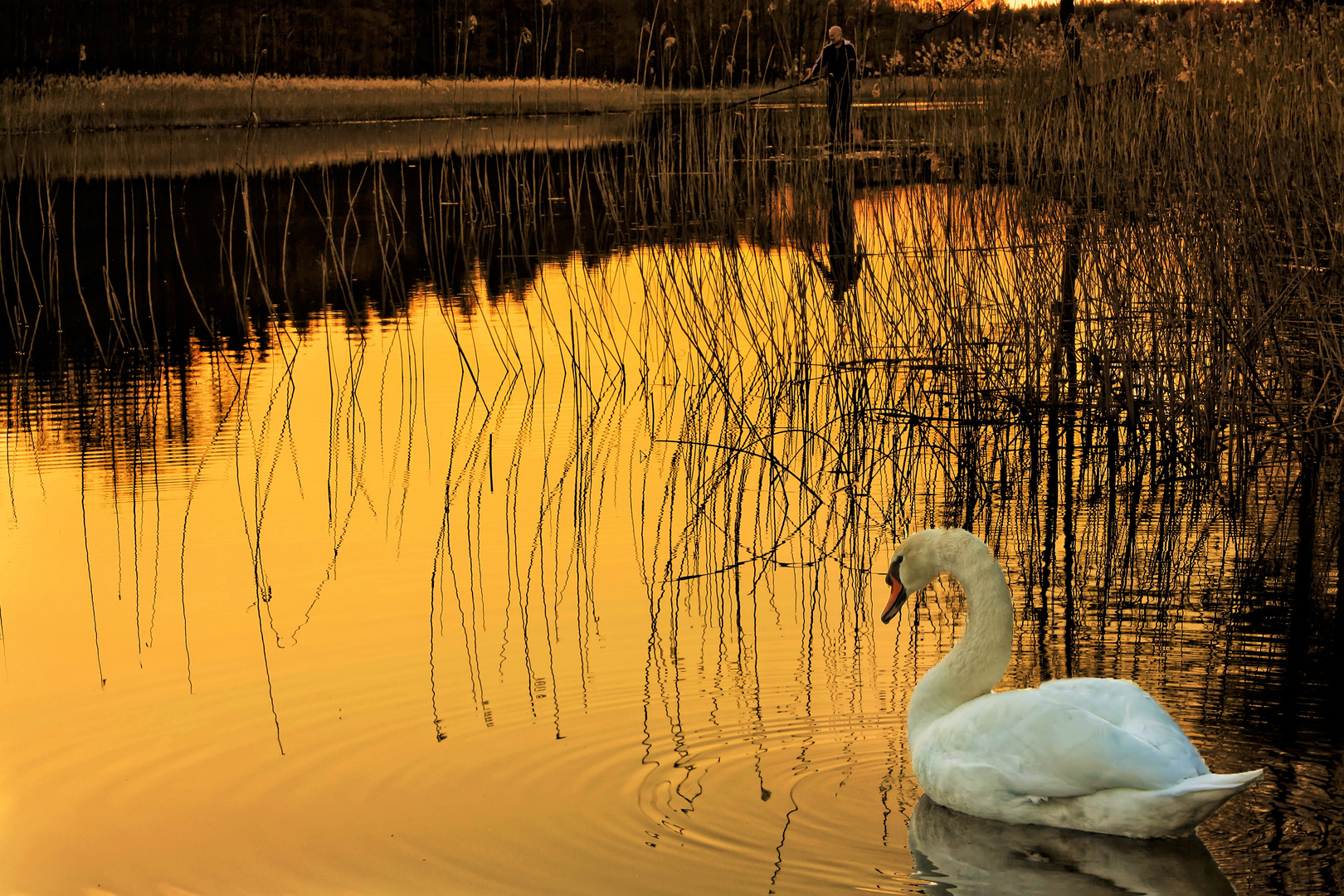 Quiet Evening