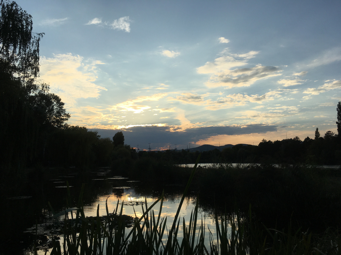 Quiet evening in the Floridsdorfer Wasserpark, Vienna