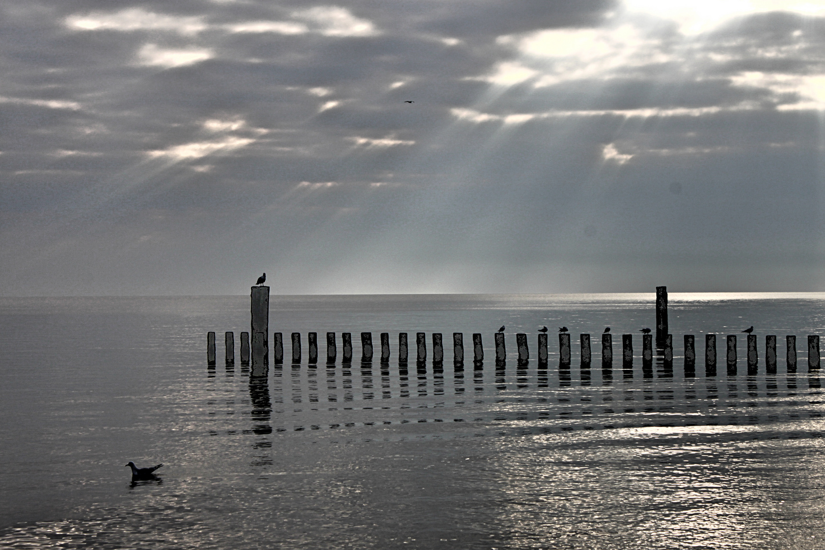 Quiet morning by the sea