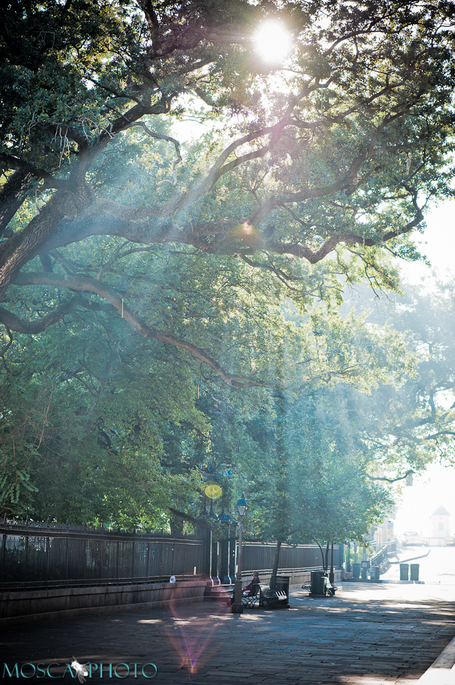 Quiet morning in Jackson Square, New Orleans, LA