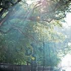 Quiet morning in Jackson Square, New Orleans, LA