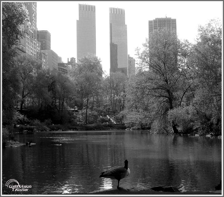 Quiet spot in Manhattan