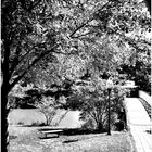 Quiet Waters Summer - A View from the Gazebo