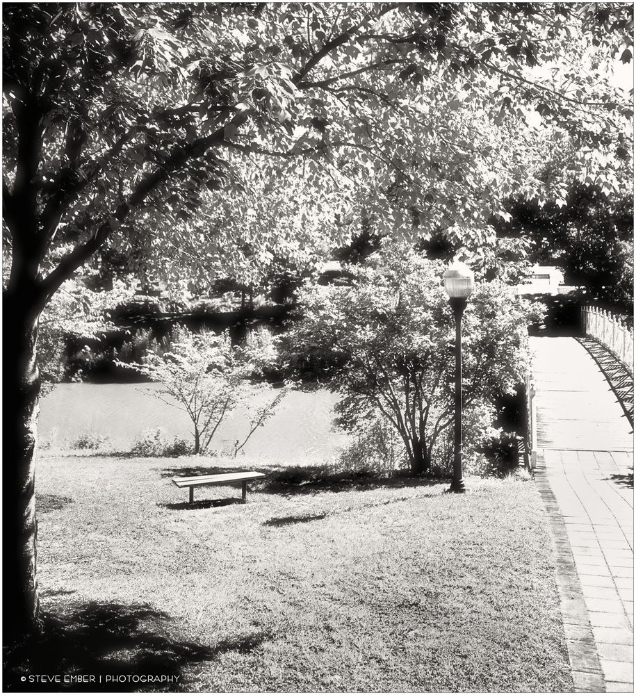 Quiet Waters Summer No.8 - A View from the Gazebo 