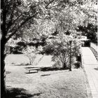 Quiet Waters Summer No.8 - A View from the Gazebo 