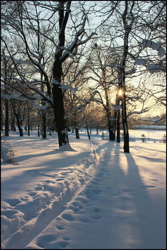 Quiet Winter's Day.