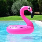 Quietsche Entchen   --   ...2018 als Flamingo   |X|©D6777--Xquad_1333p