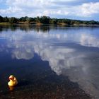 Quietschentchens wunderliche Urlaubsreise zum Meer - 13