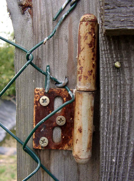 Quietscht Foto &amp; Bild | sonstiges, techniken, kamera-techniken Bilder