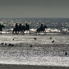 Quietude au Touquet