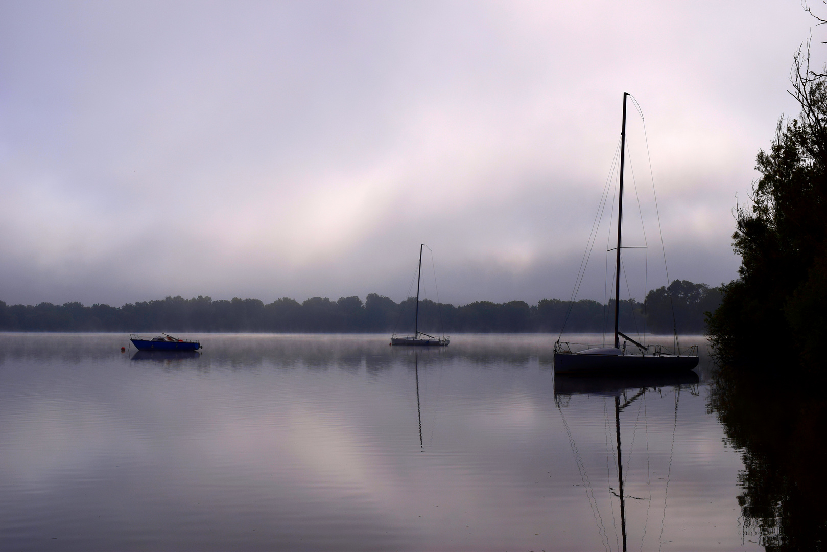 Quiétude matinale sur le lac