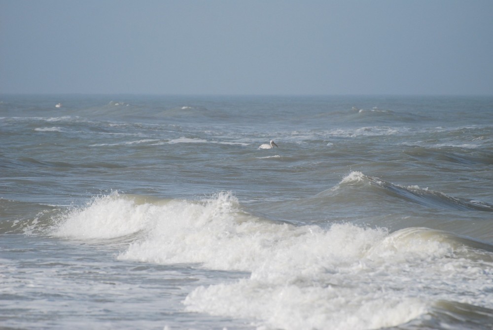 quiétude sur un lit de vagues