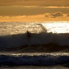 quik pro france 2011