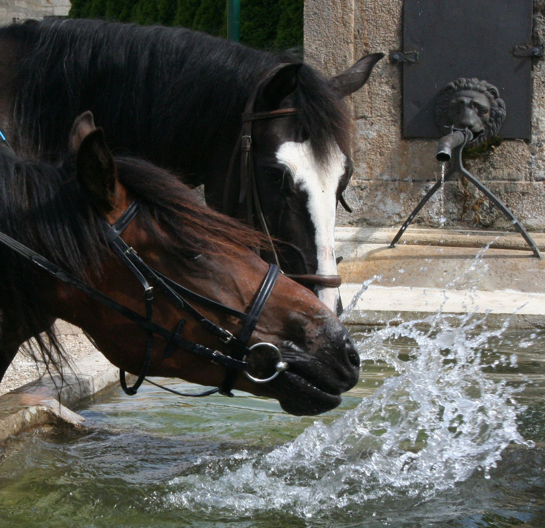 Quimiac (4ans)