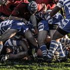 Quimper terre de rugby , aussi !!!