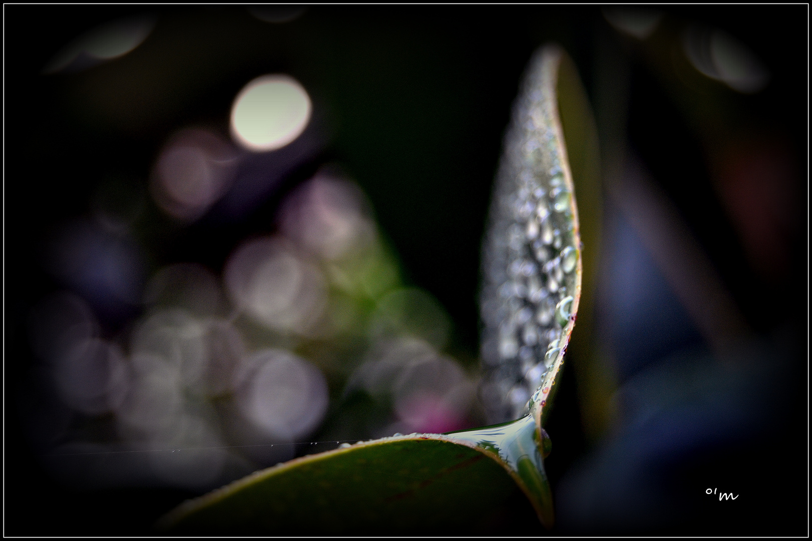 qu'importe la pluie, on a les bottes.