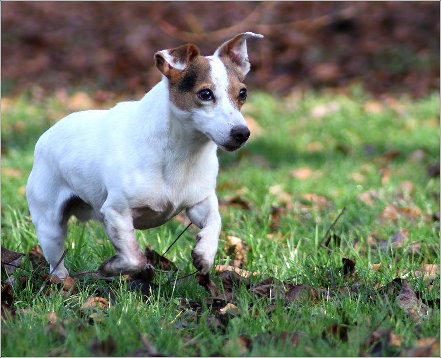 Quincy, mit Vollgas ins Neue Jahr!