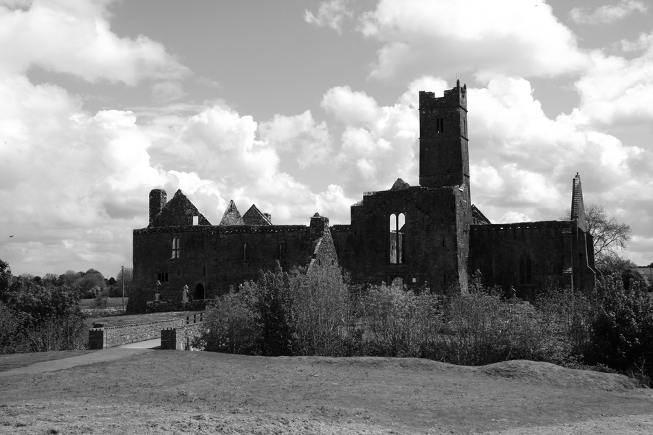 Quinn Abbey.....