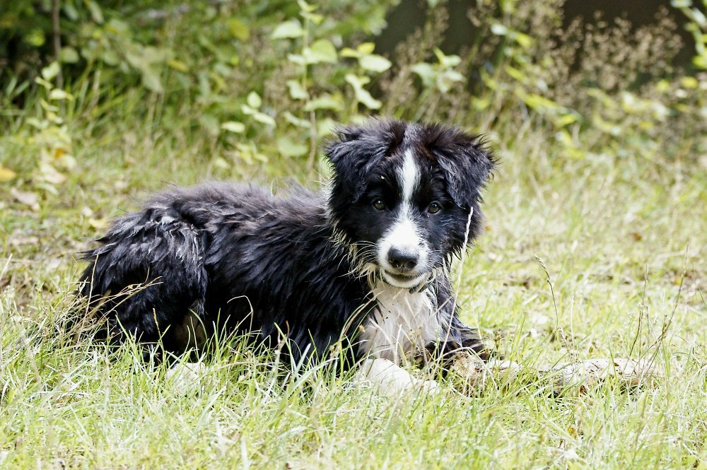 Quinn nach dem ersten Schwimmen