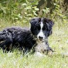 Quinn nach dem ersten Schwimmen