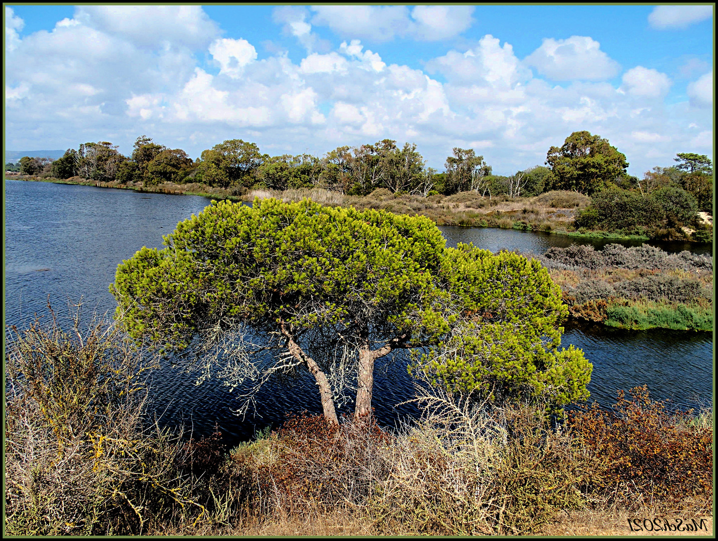 Quinta do Lago (Portugal)